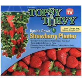 Allstar Marketing Round Planter Planter Type: Strawberry Planter