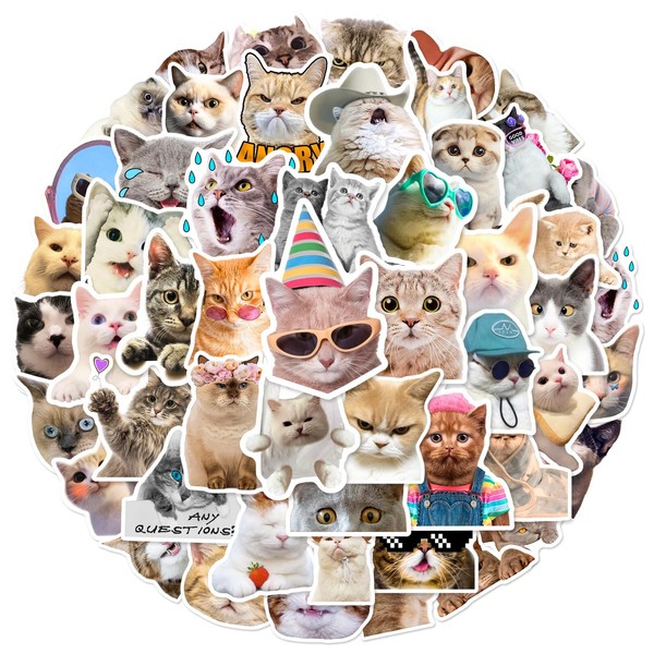 Cat Sticker Set, Cute Cat Stickers, 100 Sheets, Cat Waterproof