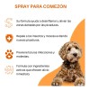 Pomada Soleq Repelente De Insectos - Orejas - Perro Y