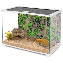 YongFoto Reptile Terrarium Background 36x24 inch Reptile Tank Background Vintage Old Tree Roots Green Grass Moss Bark Reptile Habitat Background Bearded Dragon Fish Tank Aquarium Background Backdrop