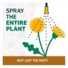 Spruce Snap & Spray Weed and Grass Killer Power Starter