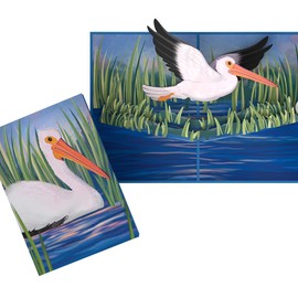 Lovepop Everyday Pop-Up Card for Her and Him - 3D Greeting Cards for Boys, Girls, Men, Women - Pelican in the Marsh - 5" x 7" Card - Blank Notecard and Envelope Included