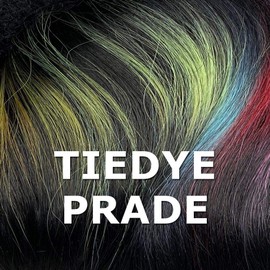 Zury Sis Beyond Synthetic Lace Front Wig BYD LACE H - BEN (TIEDYE PARADE)
