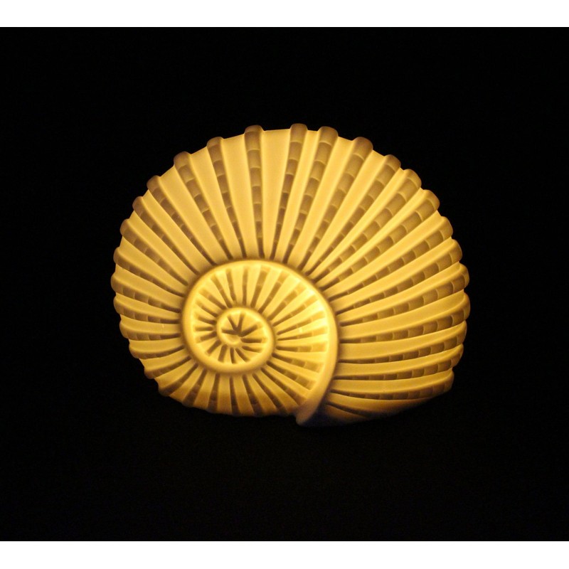 Frank Flechtwaren LED Shell White, Dimensions: 18 x 9 x