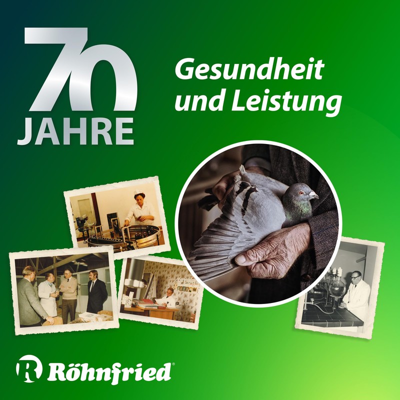 Rohnfried Vitamin AD3EC 250ml (improves fertility). Pigeons and Birds