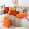 Pallene Faux Fur Plush Fall Throw Pillow Covers 20x20 Set
