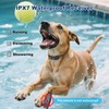 BCPETMY Shock Collar for Dogs with Color Screen - 3300