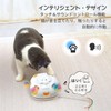 ORSDA Automatic Cat Toy, Indoor Electric, 4 in 1 Cat