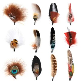 12Pcs Hat Feathers Assorted Natural Feathers for Hats Colorful Real Feathers Pin DIY Craft Men Women Cowboy Hats FedoraColor: 12PC 04, Feather Size (L x W): 2-3 In/6-8In