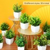 Jexine Small Fake Plants Bulk Mini Artificial Plant Flower Faux