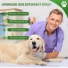 vyaji Bitter Apple Spray for Dogs to Stop Chewing, Alcohol-Free