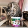 Petnc Natural Care Hairball Soft Chews for Cats (90 Count),