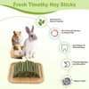 100PCS Timothy Hay Sticks for Rabbits Guinea Pigs Chinchillas Chew