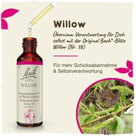 Original Bach flower drops.