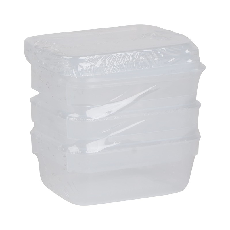 Décor 003051-004 Food Storage Container, 250 mL, Oblong, Pack of