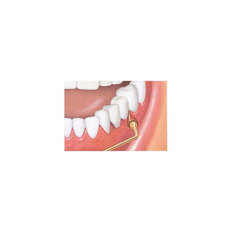 Gum Stimulator Refills [601] 3 Each (Pack Of 2)