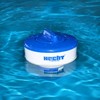 Hecht Chlorine Dosage Float For Clear, Clean Water, Perfect For