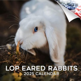 2024 2025 Lop Eared Rabbit Calendar - Cute Animal Monthly Wall Calendar - 12 x 24 Open - Thick No-Bleed Paper - Giftable - Academic Teacher's Planner Calendar Organizing & Planning