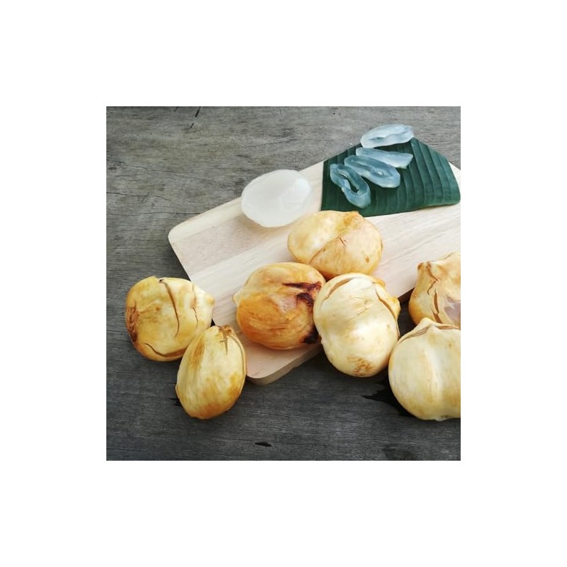 Aroy-D Toddy Palms Seed and Jackfruit In Syrup - 20oz