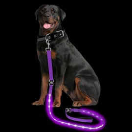 PetIsay Light up Dog Leash for Night Walking - USB C Rechargeable - Waterproof - Dog Leashes with Flashlight - LED Leash for Dogs - 6Ft, Pink