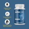 Pelican Vitamins Alpha Cur- Brain & Nerve Support- 10 Bottles-