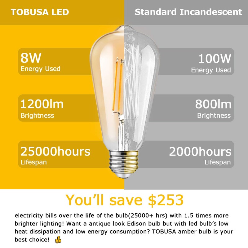 Dimmable LED Edison Light Bulbs 100W Incandescent Equivalent, Vintage Light