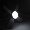 LED Ceiling Fan Light Dimmable 1000LM Screw In Ceiling Fans