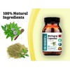 DR WAKDE’S Bhringraj Capsules (Eclipta alba) (60 Veg Caps, Ayurvedic Supplement,