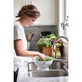 Fruits & Passion [Cucina] - Lime Zest & Cypress Tree Hand Care Duo Caddy Gift Set | Liquid Hand Soap Wash (5.1 oz) with Hand Cream Lotion (6.8 oz)