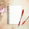Cello Ballpoint Red Pen, Pack of 12 Ballpoint Pens, Smooth