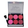 Paleta Rubor Contorno Iluminadores + Brocha