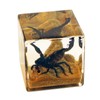 REALBUG 2" Black Scorpion Cube