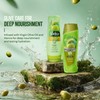 Vatika Naturals Olive Shampoo & Conditioner | Virgin Olive Oil