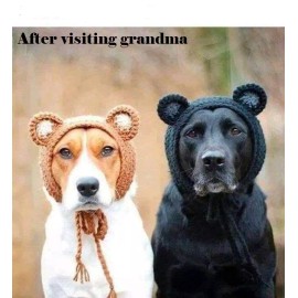 Funny dog    refrigerator magnet 3 1/2 X 4 1/2 "