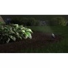 Portfolio Wired Displays - Landscape Lighting