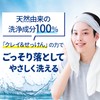 gatsby facial wash moisture foam 130g
