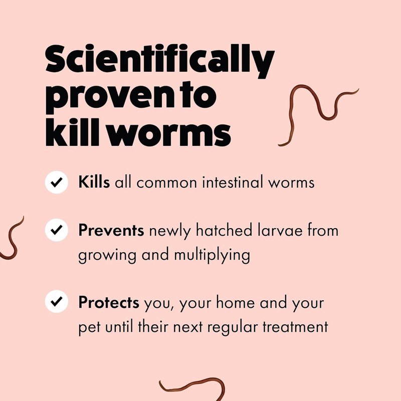 Itch | Worming Tablets for Cats | 4 Tablet |