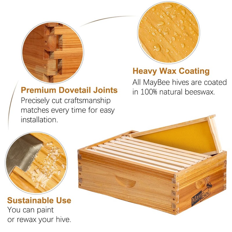 10-Frame Beehive Box Langstroth Medium Super Bee Box for Sale