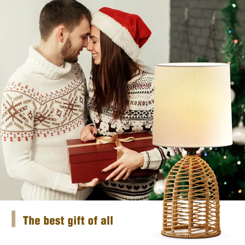 EJIAXIN Rattan Lamp Boho Lamps Set of 2-13.75" Mini Farmhouse