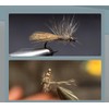 KTGCOZS Pack of 50 Flank Feathers Fly Tying Natural Barred