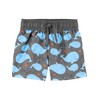 Simple Joys by Carter's Baby and Toddler Boys’ 2-Piece Swimwear,
