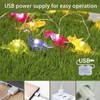 Impress Life Dinosaur String Lights with Remote and Timer,20 LED