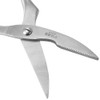 Stainless Steel Scissors Multifunctional Kitchen Strong Fish Chicken Bone Scissors