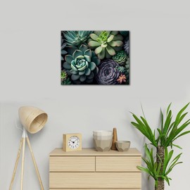 TISHIRON DIY Paint by Numbers for Adults Beginner, Houseplant Succulents Top View Paint by Numbers for Beginner, Plants Succulents Watercolor Paint by Number, Painting by Numbers for Decor 16x20 Inch