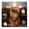 Molin Shampoo Jengibre Reparador Anti Caida Crecimiento Cabello