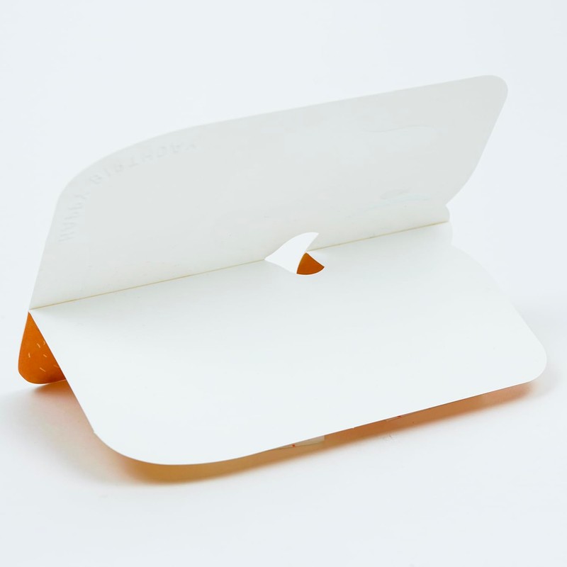 Greeting Life Birthday Card, Cat Chairo, LE-25