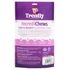 Treatly IncrediChews Bone w/Chicken Meat Wrap Dog Chew Treats -