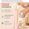 Wady Cepillo Corporal Baño Pulgadas Exfoliante Dos Ganchos Diseño Mango