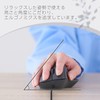 Elecom M-SH30UBSKBK Mouse, Wired Silent, 5 Buttons + Tilt, M,