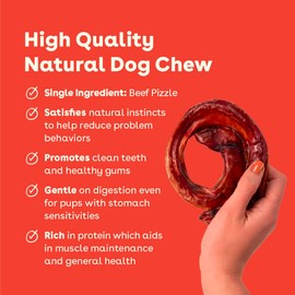 Pupford Bully Stick Rings for Puppies & Dogs, Long-Lasting Beef Dog Chew Treats, 8 Pack